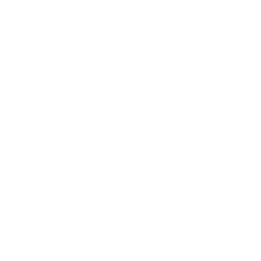icon5